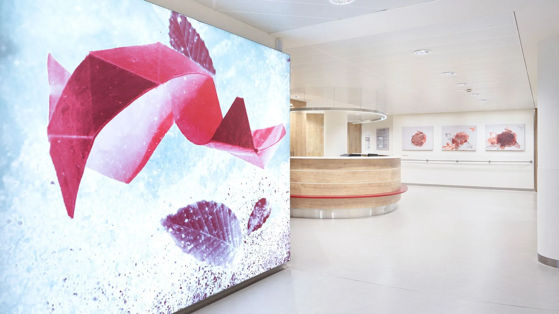 KUK MC III – Zubau Hybrid OP | Projekte | EBP GmbH